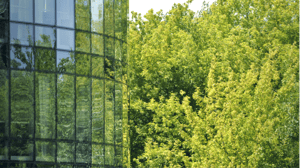 12_ Unsere Unternehmenswerte Value 01